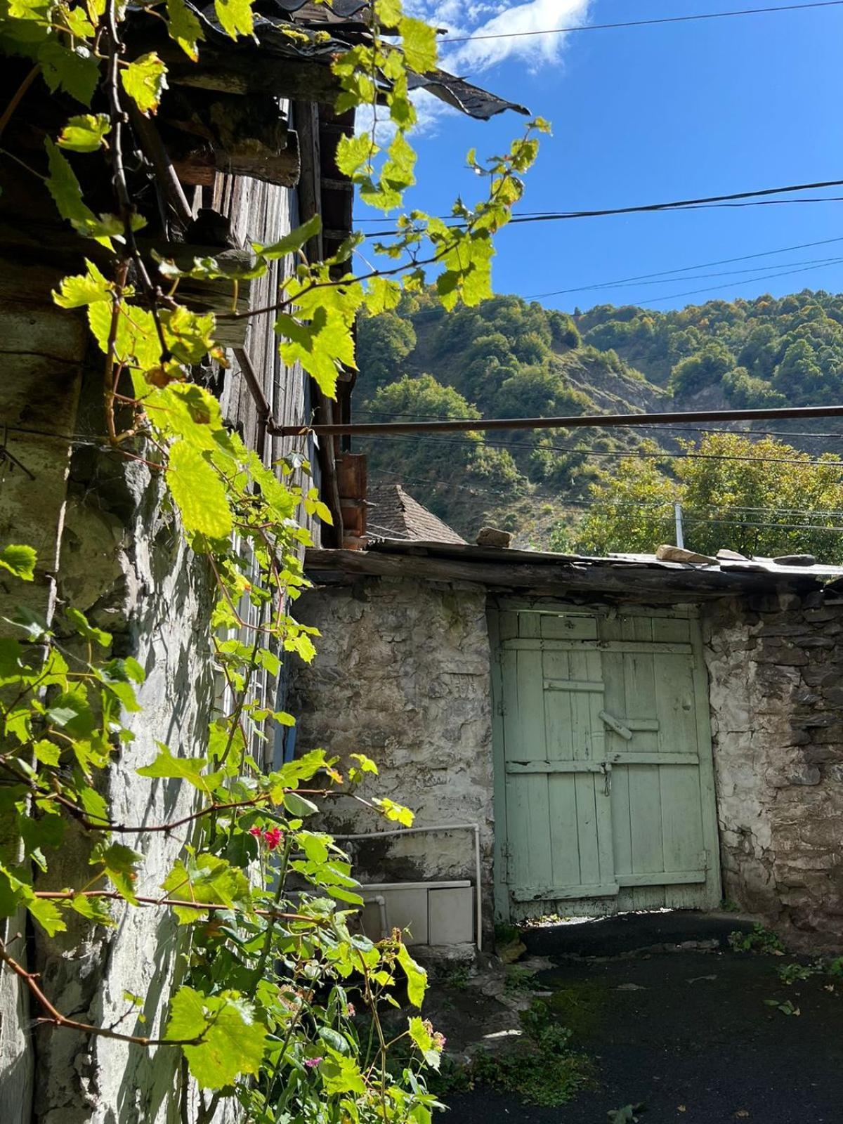 Guesthouse Ilisu Гах Экстерьер фото