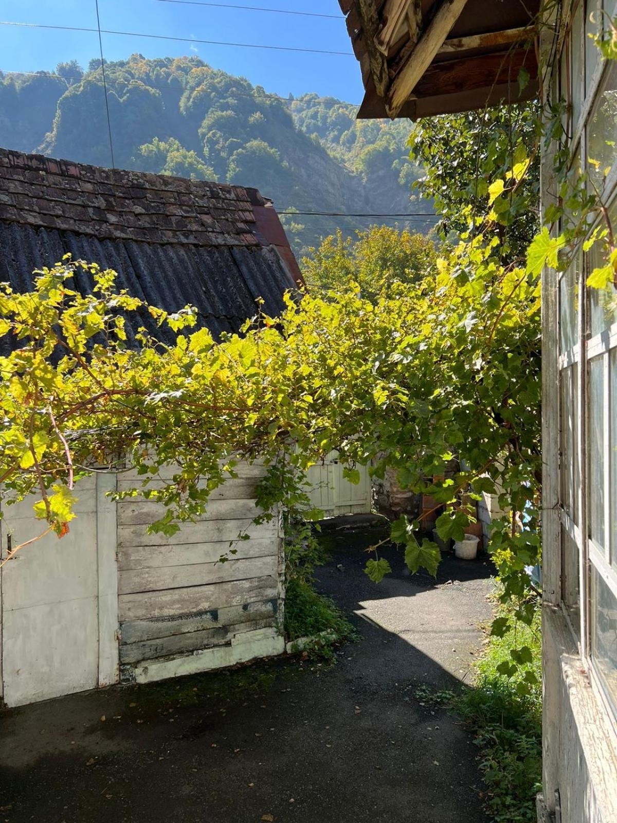 Guesthouse Ilisu Гах Экстерьер фото